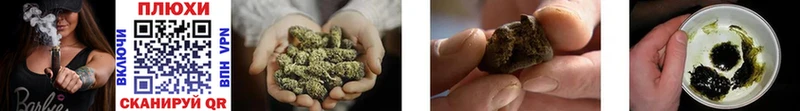 ГАШИШ AMNESIA HAZE Саров