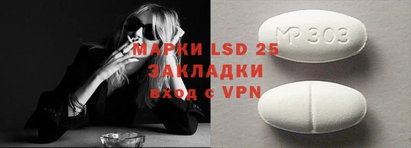 хмурый Алзамай