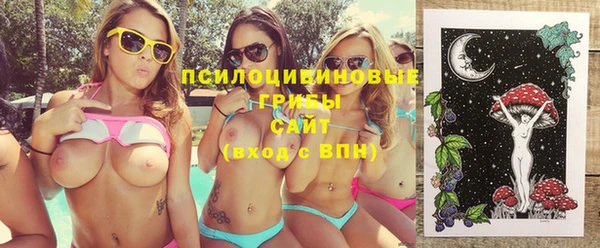 хмурый Алзамай