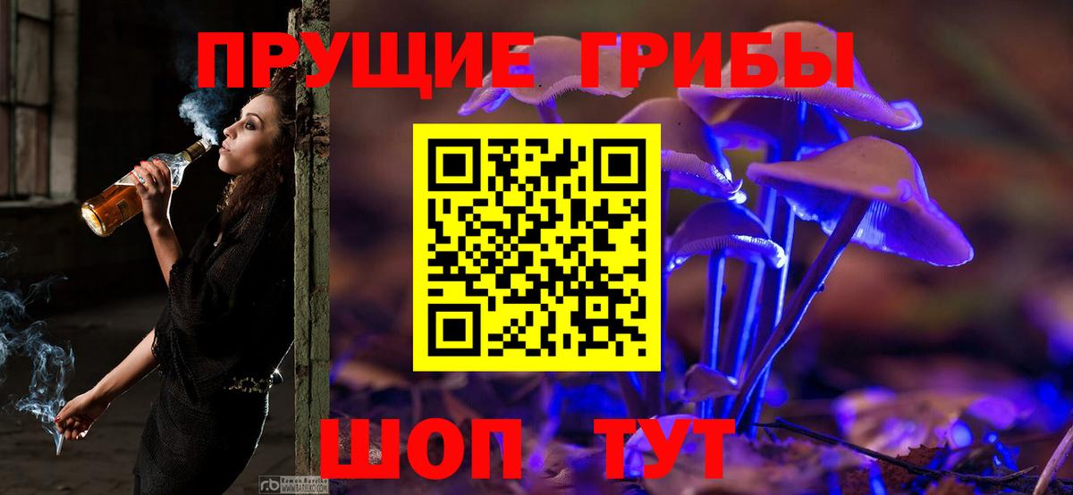 как найти закладки  Псилоцибиновые грибы GOLDEN TEACHER  Псилоцибиновые грибы Cubensis  Вход с VPN  Саров 